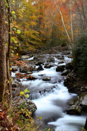 Tremont, Cades Cove, Great Smoky Mountains