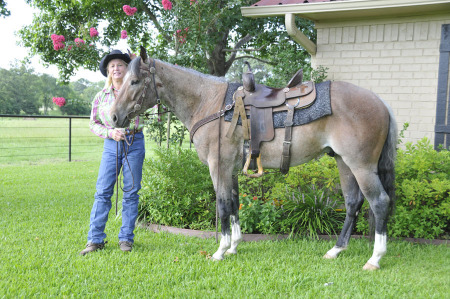 boon and edith  full horse