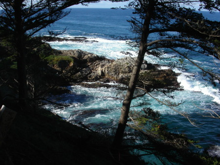 Pacific Grove, CA