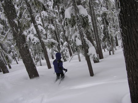 Willamette Pass Powder Skiing 3/8/09