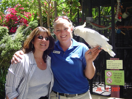 A day at the Long Beach Aquarium