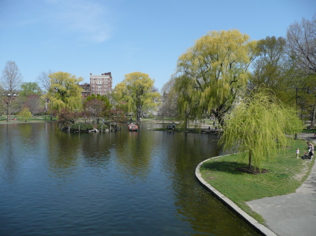 Boston in the Springtime