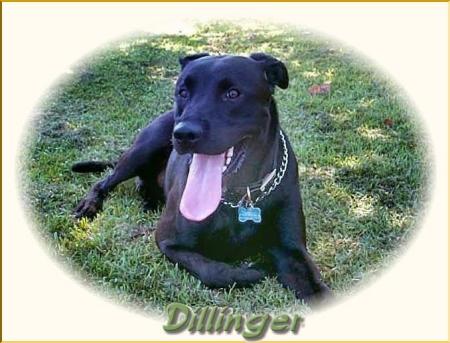 Dapper Dillinger....