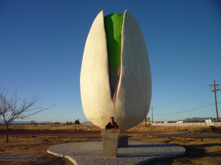 Me at the Pistachio Farm out in New Mexico