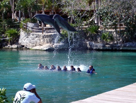 Dolphins at Xel Ha, Cancun '09