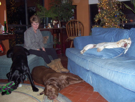 Kathy, Ollie, Baxter and Kosmo