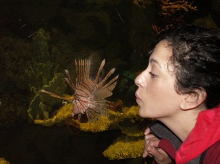 I kissed a blow fish...