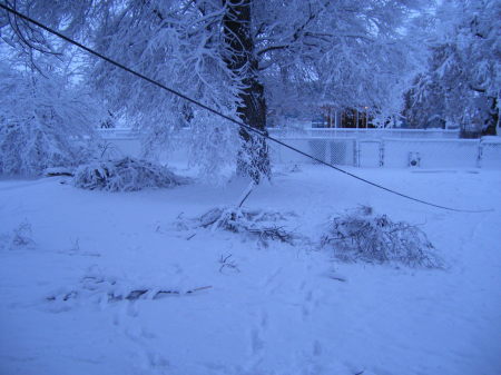 Ice storm spring of 2007