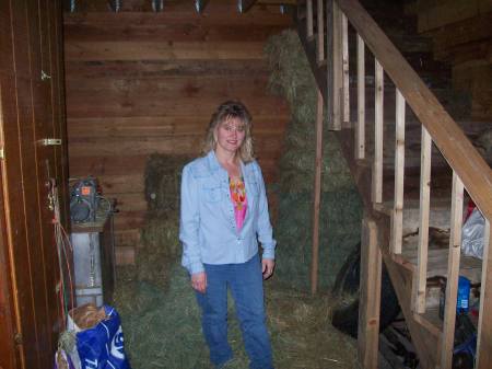 IN THE BARN