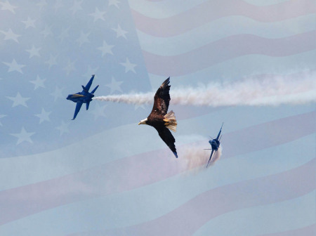 Blue Angels and Eagle