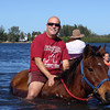 Swiming with the horses