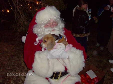 Dixie and Santa