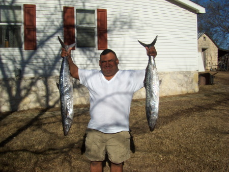 Two small kingfish we caught on the Scat Cat