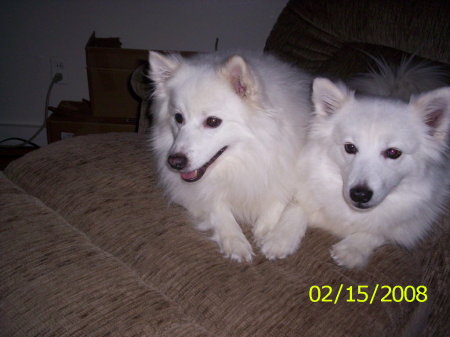 My Babies, Polar & Bear