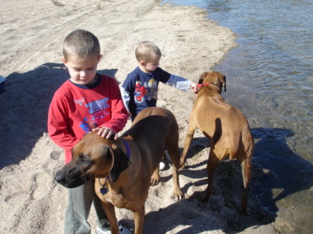 The boys & dogs at the Mojave River