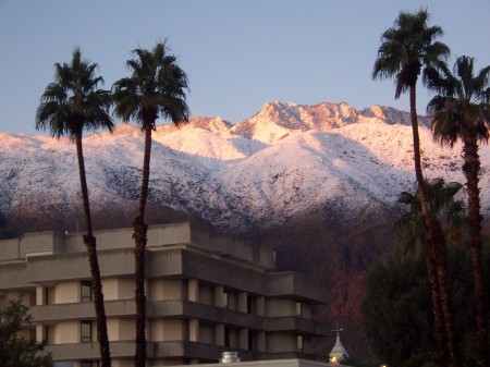 Winter in Palm Springs
