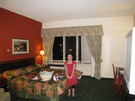 Hotel Mead room