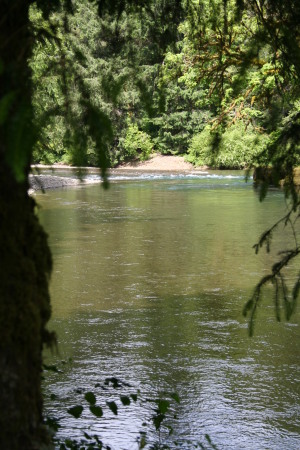 Tillamook Scenic Memories