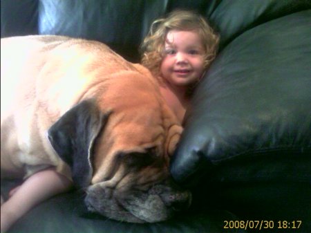 Big dog, little girl