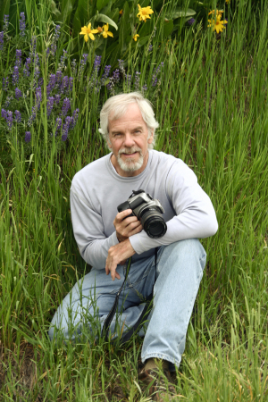 A comfortable seat amongst the tall grass....