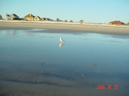 Scarborough Beach