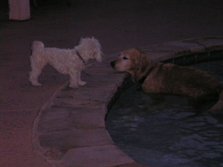 Holly in her pool