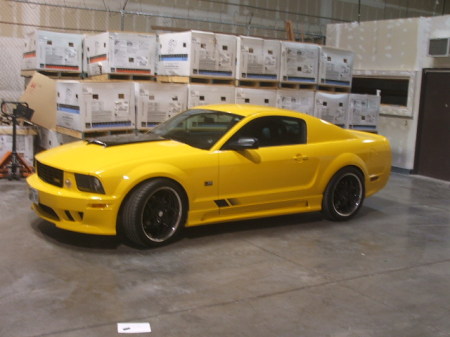 saleen 001