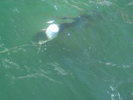 boat under water