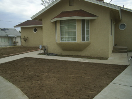 Brought Home in upper San Bernardino(2008)