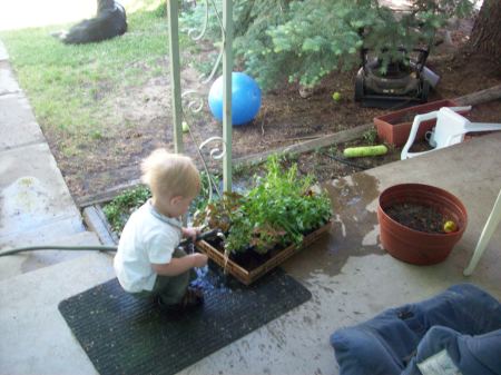 Gardener in training
