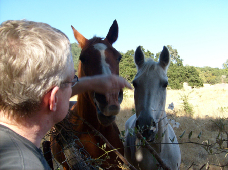 My partner with our new neighbors