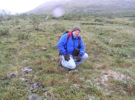 In Denali National Park