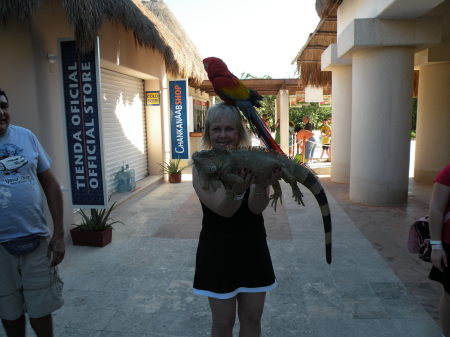 Cozumel, Mexico