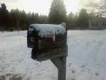 My front lawn and mailbox