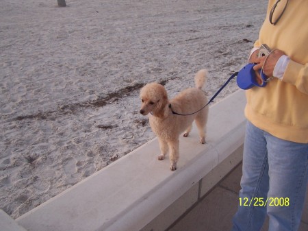 Clearwater Beach on Christmas Day