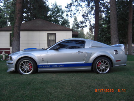 '07 Mustang