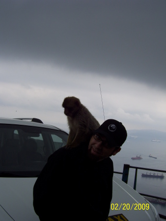 My son with the monkey's in Gibraltar