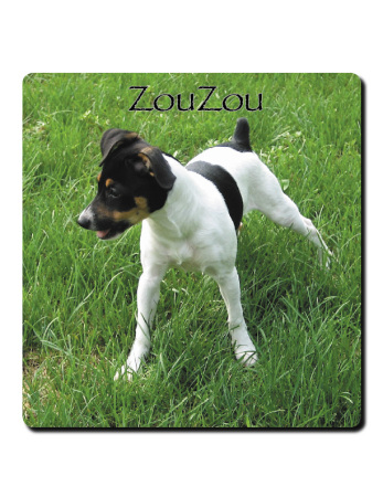 ZouZou