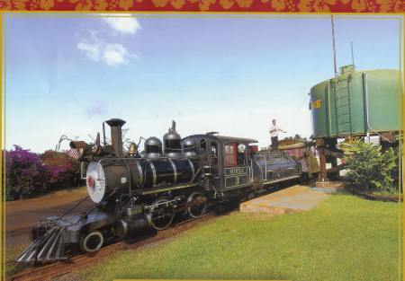 Myrtle at the Kaanapali water tank station.