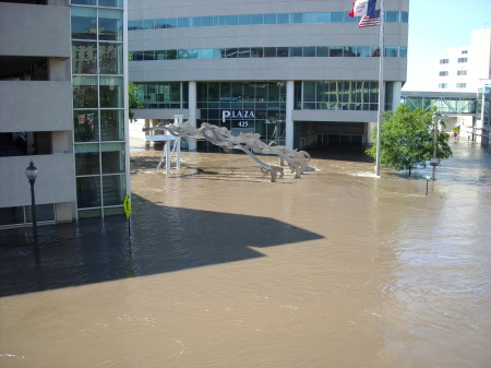 flood of 2008