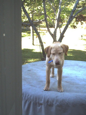 Max on hot tub