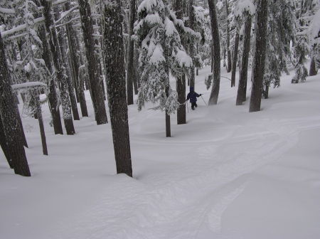Willamette Pass Powder Skiing 3/8/09