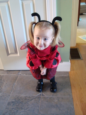 My Ladybug