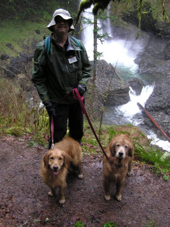 Silver Falls state park