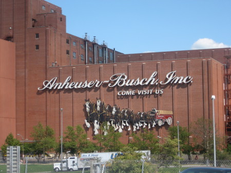 Budweiser Tour in St Louis