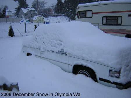 cadi buried in snow