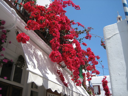 Mykonos Greece '07