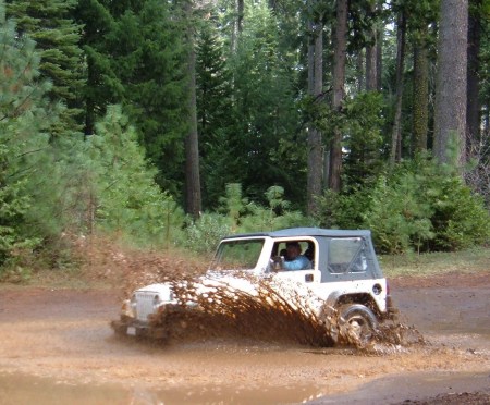 wood, jeep , park woods 004