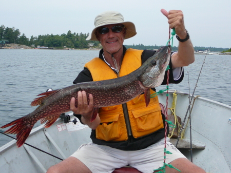 Northern Pike