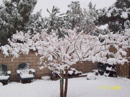 snow pictures 001